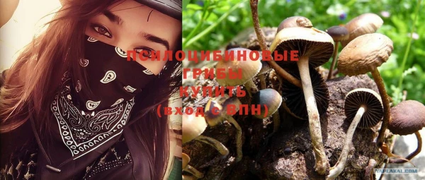 молекула духа Нягань