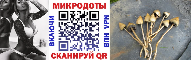 Купить закладки  Южа  Псилоцибиновые грибы ЛСД 